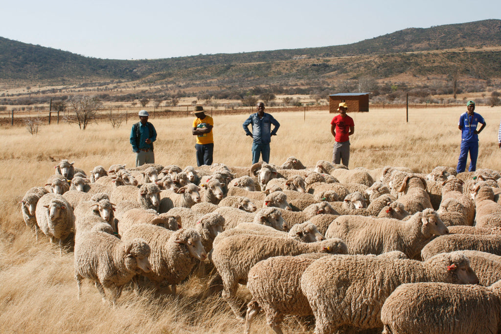 Episode 2: Stories of Hope - Community Regeneration in South Africa